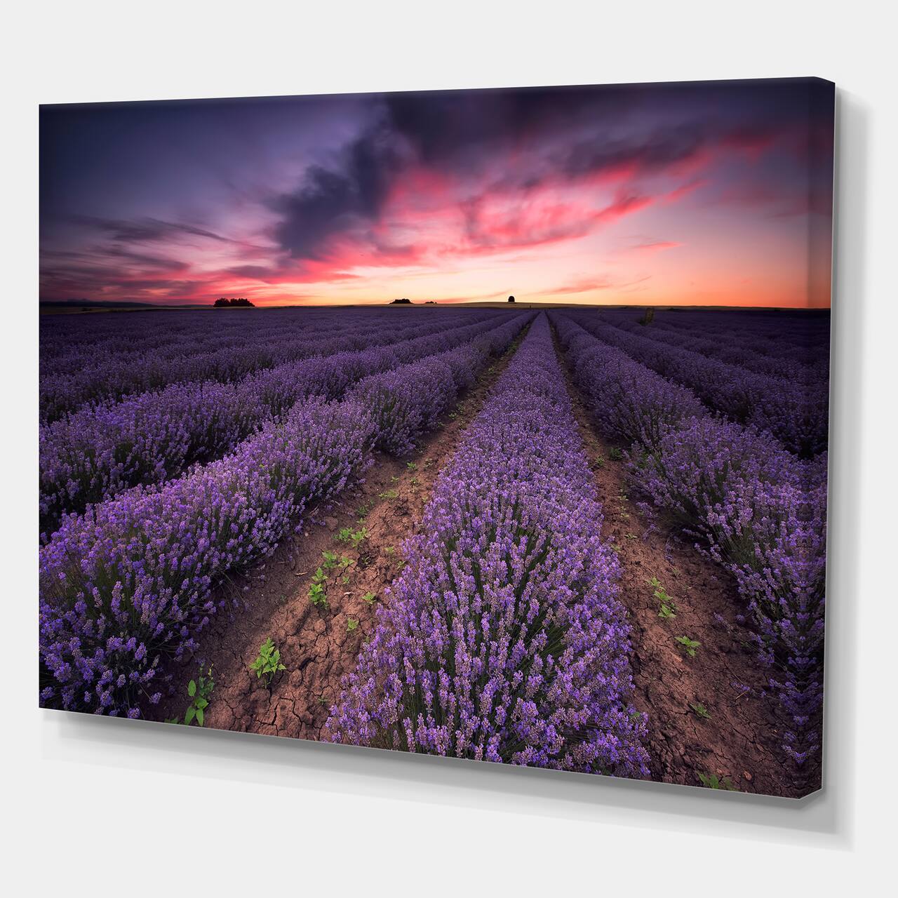 Designart - Sunrise &#x26; Dramatic Clouds Over Lavender Field IX - Farmhouse Canvas Wall Art Print